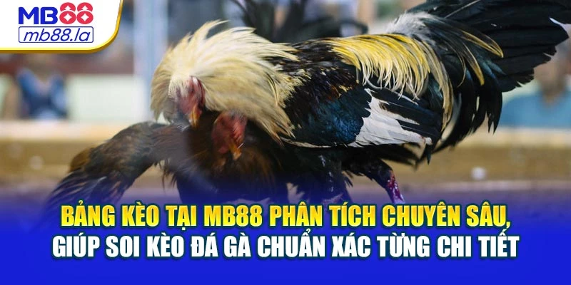 Bảng kèo tại MB88 phân tích chuyên sâu, giúp soi kèo đá gà chuẩn xác từng chi tiết