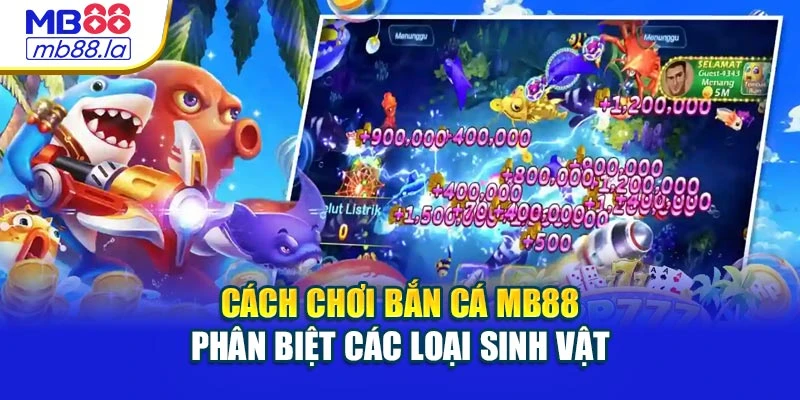 Cách chơi bắn cá MB88 phân biệt các loại sinh vật