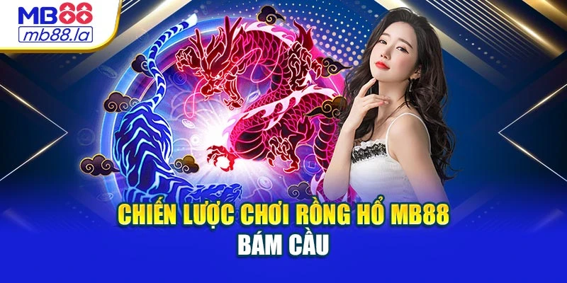 Chiến lược chơi Rồng Hổ MB88 bám cầu