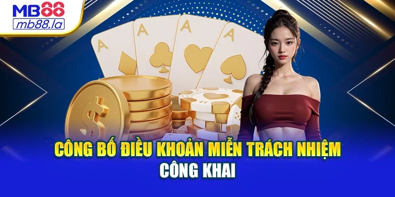 Công bố điều khoản miễn trách nhiệm công khai
