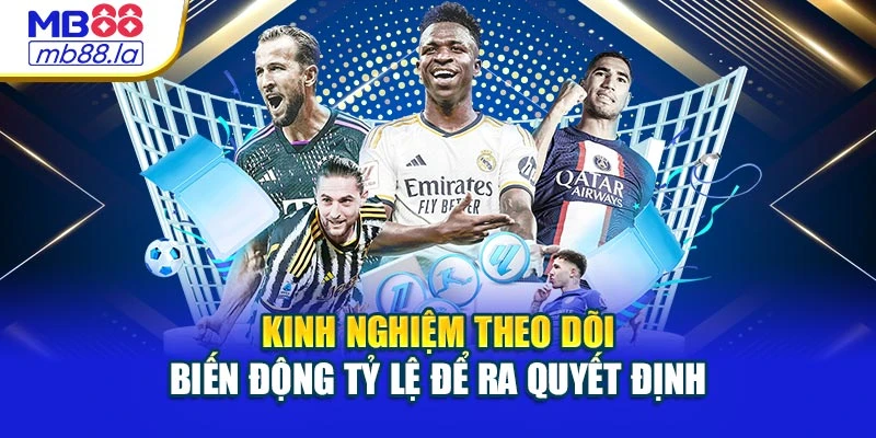 Kinh nghiệm theo dõi biến động tỷ lệ để ra quyết định