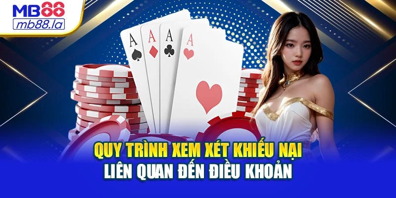Quy trình xem xét khiếu nại liên quan đến điều khoản