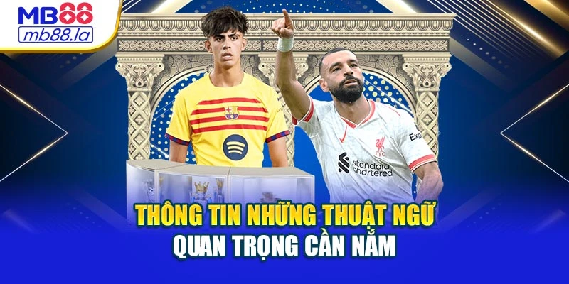 Thông tin những thuật ngữ quan trọng cần nắm