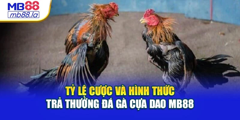 Tỷ lệ cược và hình thức trả thưởng Đá gà cựa dao MB88