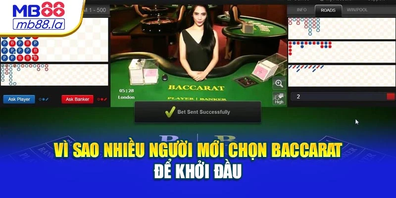 Vì sao nhiều người mới chọn Baccarat để khởi đầu